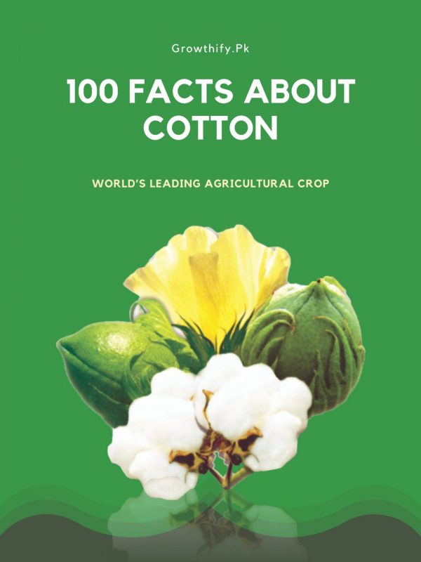 100 Facts About Cotton