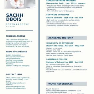 Blue & Grey Modern Resume