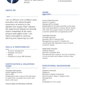 Clean Executive Resume