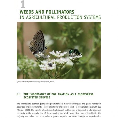 Crops, Weeds, And Pollinators (2)