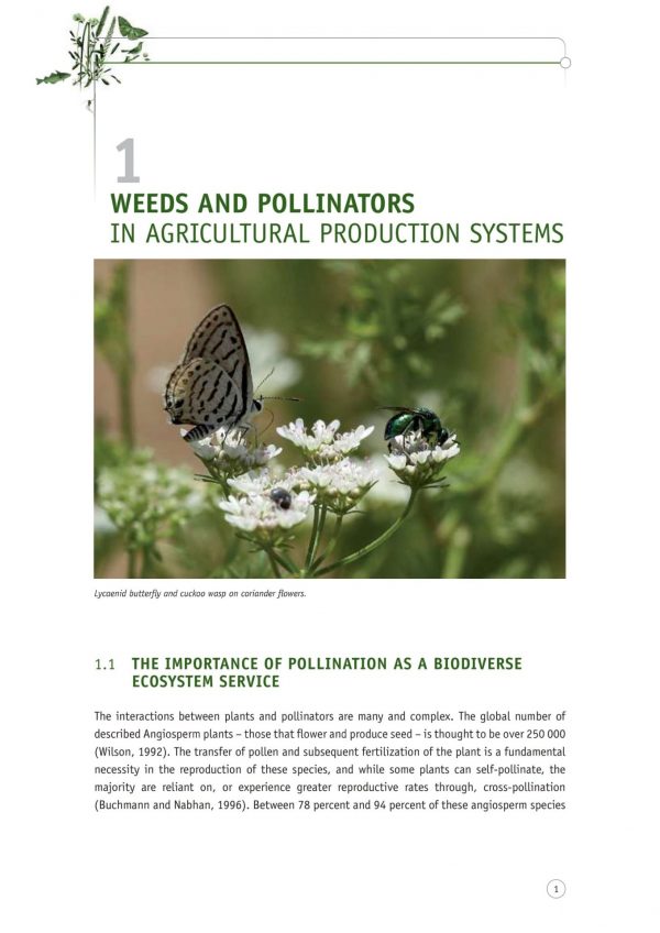 Crops, Weeds, And Pollinators (2)