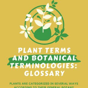 Plant Terms and Botanical Terminologies