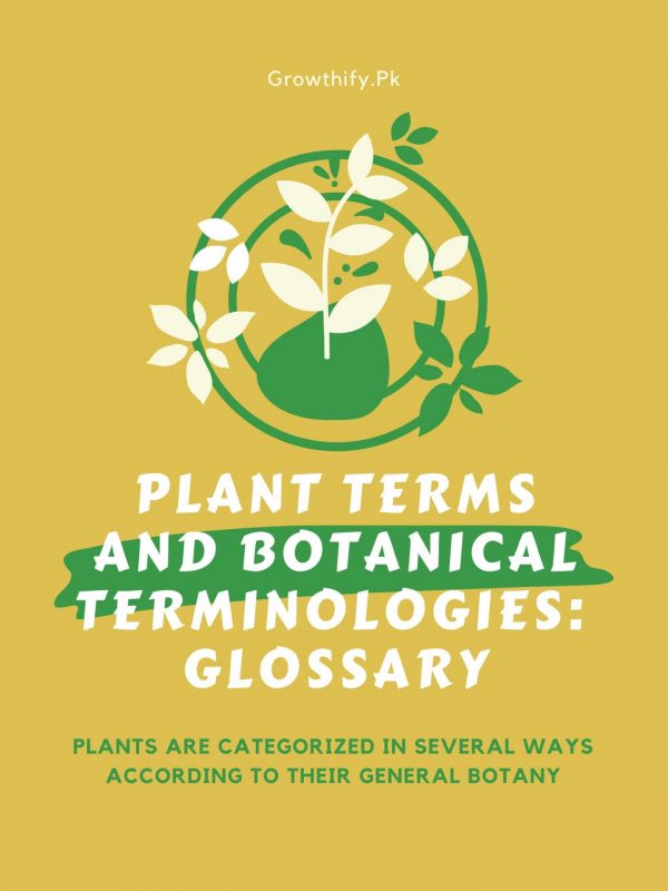 Plant Terms and Botanical Terminologies