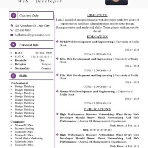 Premium Executive Resume