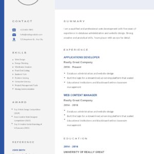 Professional Minimalist Resume