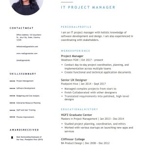 Simple Professional Resume