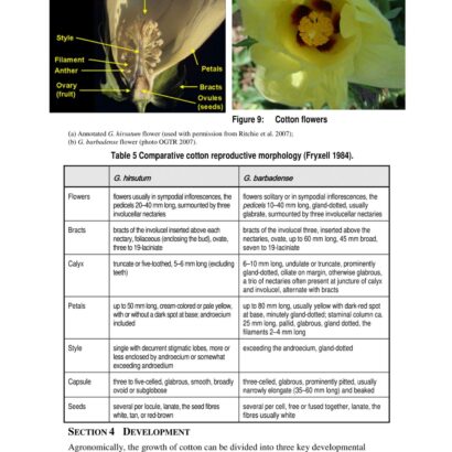 The biology of cotton 2016-028
