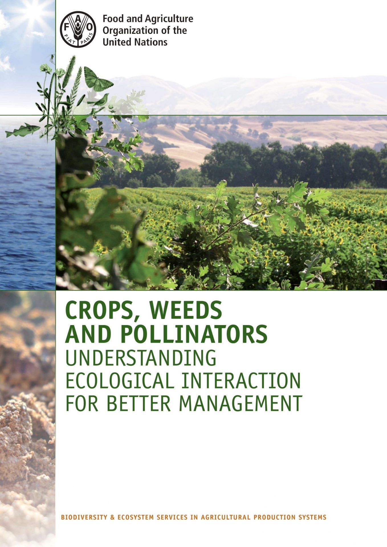 Crops, Weeds, And Pollinators