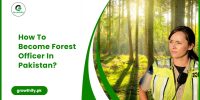 How To Become Forest Officer In Pakistan?