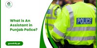 What is An Assistant in Punjab Police?